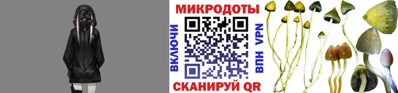 Псилоцибиновые грибы мицелий  Купить  Волчанск 